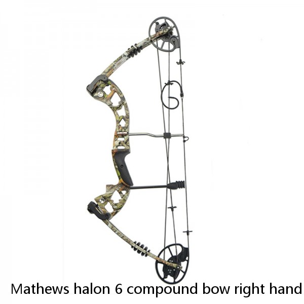 Mathews halon 6 compound bow right hand