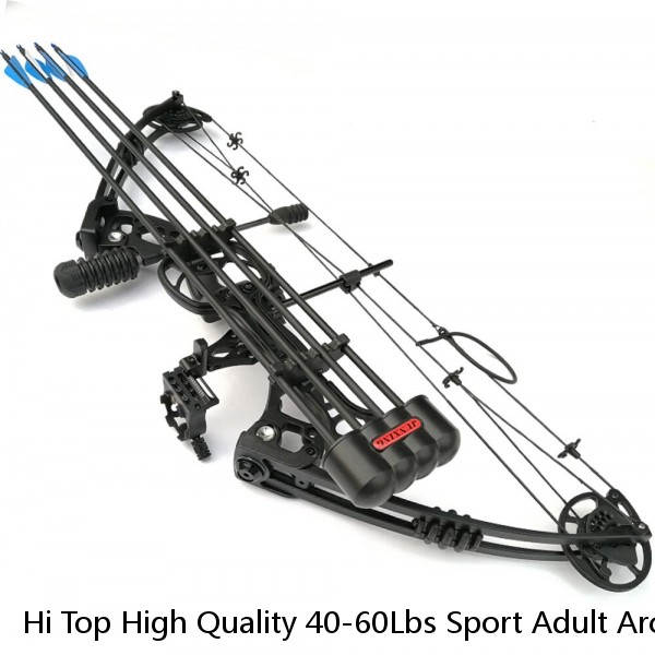 Hi Top High Quality 40-60Lbs Sport Adult Archery Kit Youth Compound Bow And Arrow Set For Competition