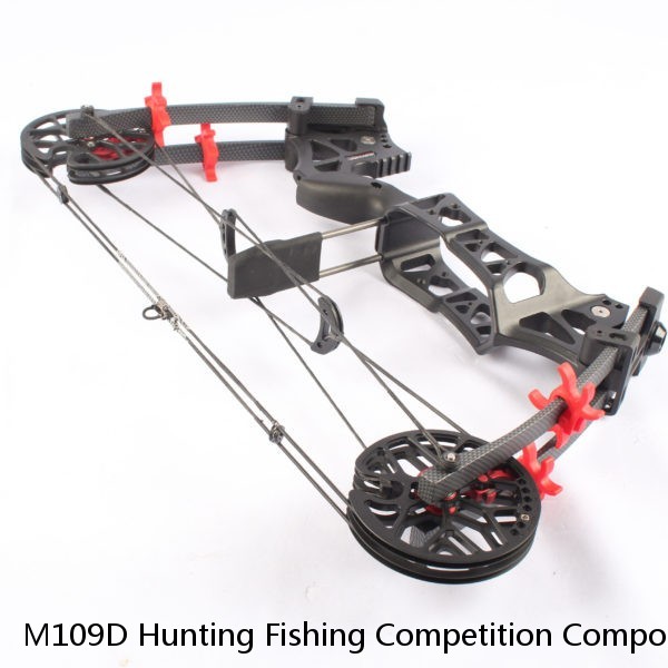 M109D Hunting Fishing Competition Compound Bow for shooting Archery Arrow 45lbs Aluminum Riser Laminated Limbs